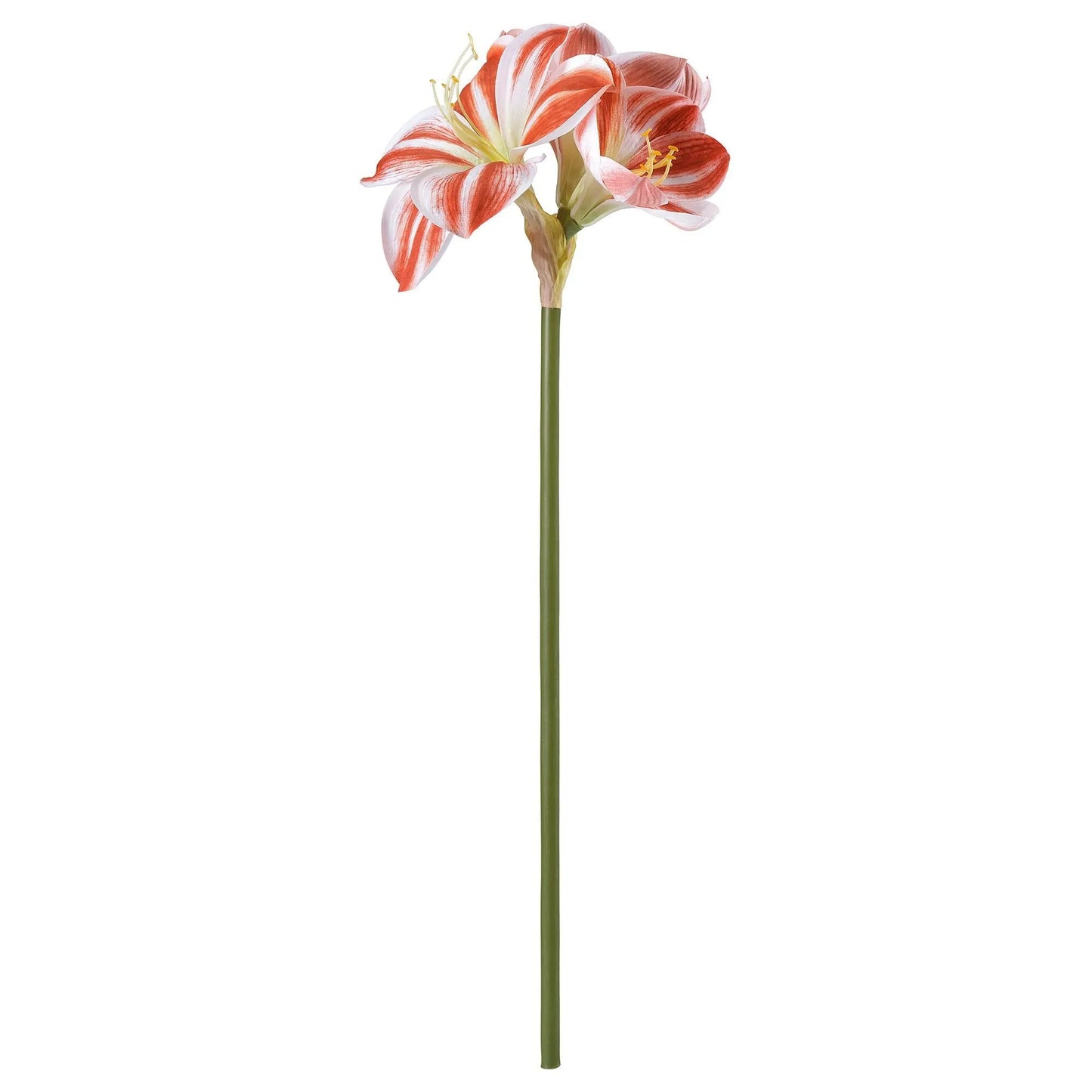 VINTERFINT artificial flower, in/outdoor Amaryllis/red white, 60 cm