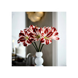 VINTERFINT artificial flower, in/outdoor Amaryllis/red white, 60 cm