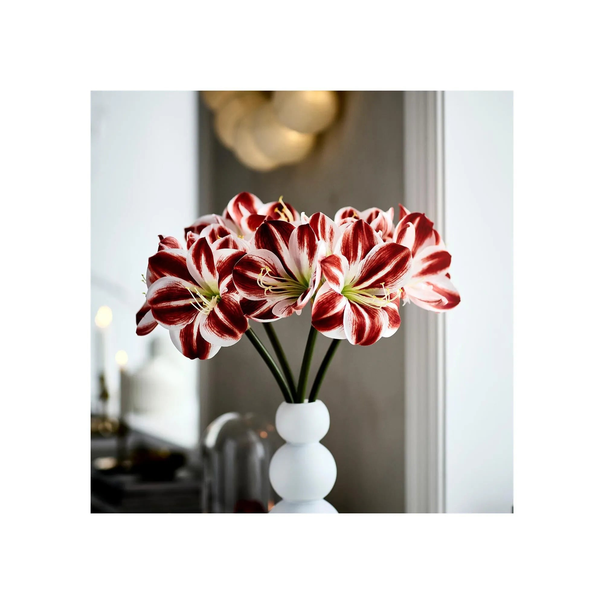 VINTERFINT artificial flower, in/outdoor Amaryllis/red white, 60 cm