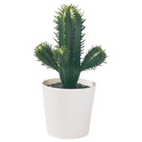 FEJKA Artificial potted plant, in/outdoor Cactus, 6 cm
