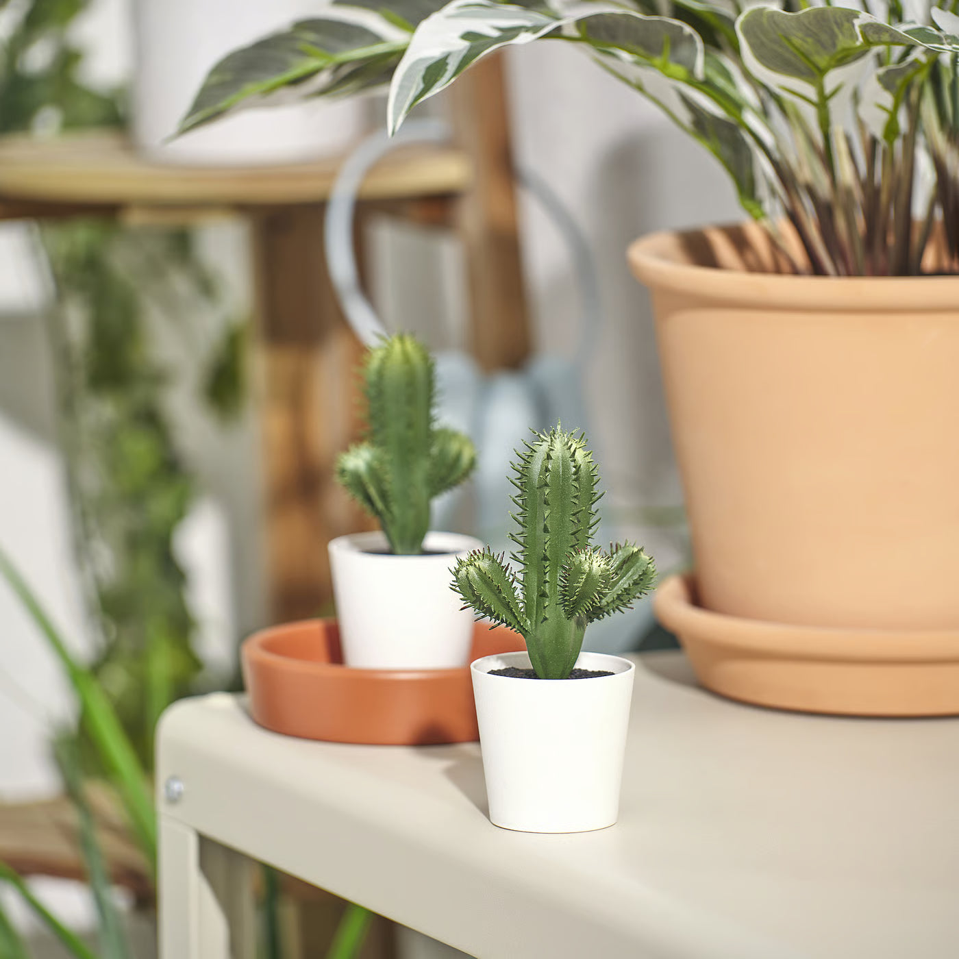 FEJKA Artificial potted plant, in/outdoor Cactus, 6 cm