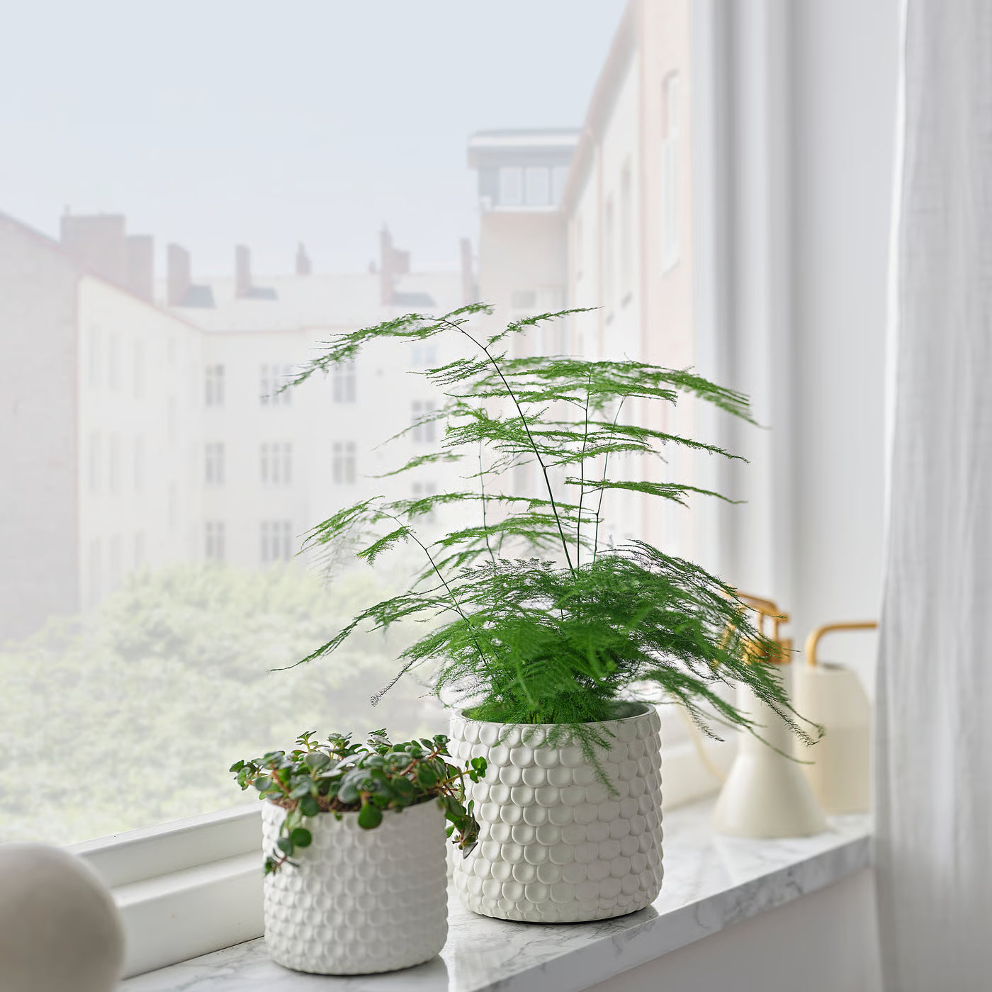 GLACIÄRBJÖRN Plant pot, white, 9 cm