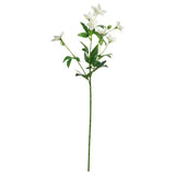 SMYCKA Artificial flower, in/outdoor Lisianthus/white, 60 cm