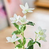 SMYCKA Artificial flower, in/outdoor Lisianthus/white, 60 cm