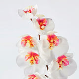 SMYCKA Artificial flower, in/outdoor/Orchid white, 60 cm