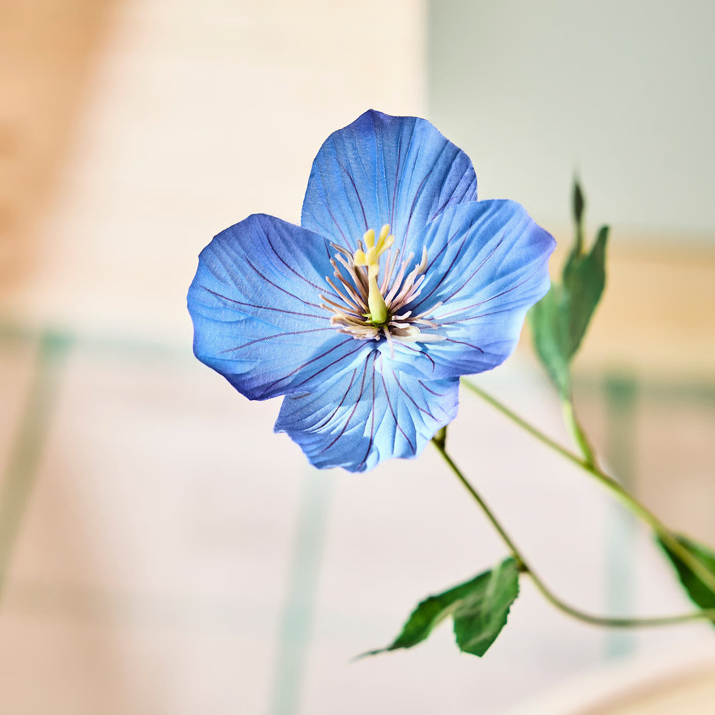 SMYCKA Artificial flower, in/outdoor Poppy/blue, 57 cm