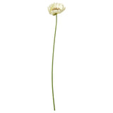 SMYCKA Artificial flower, in/outdoor Poppy/white, 51 cm
