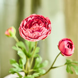 SMYCKA Artificial flower, in/outdoor Ranunculus/dark pink, 52 cm