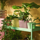 SOJABÖNA Plant pot, light pink, 12 cm