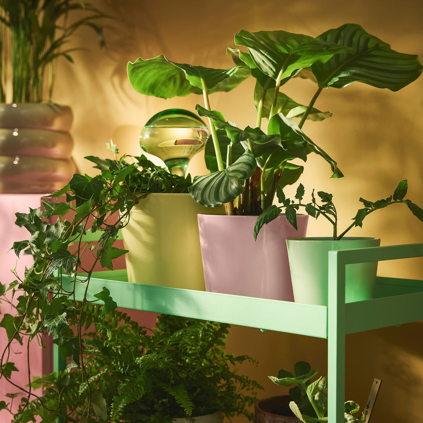 SOJABÖNA Plant pot, light pink, 12 cm