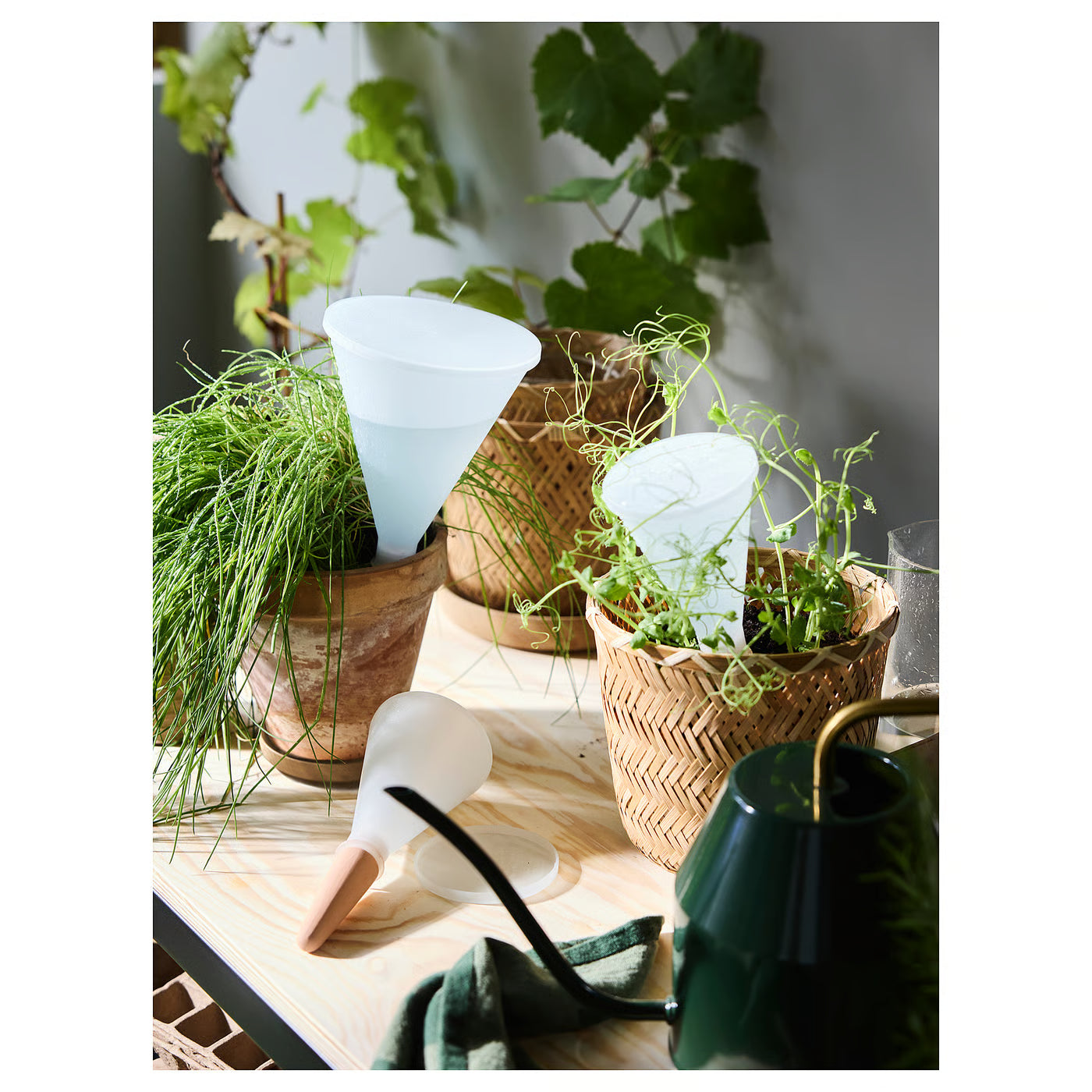 SVÄMSKOG Self-watering insert, terracotta/transparent, 70 cl