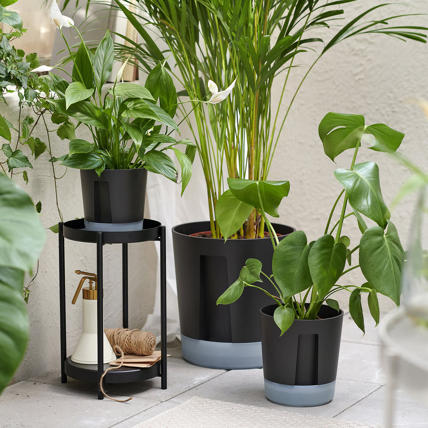 VÅRDTRÄD Self-watering plant pot, in/outdoor transparent/anthracite, 9 cm
